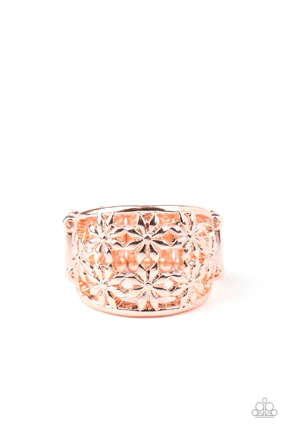 Crazy About Daisies - Rose Gold